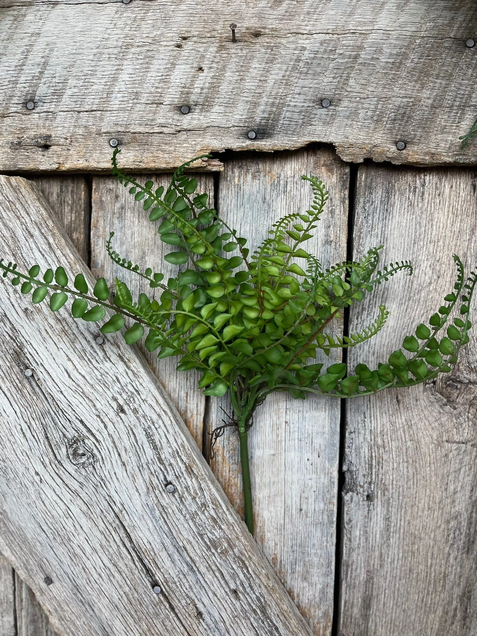 16" Green Fern Spray, Greenery Bush