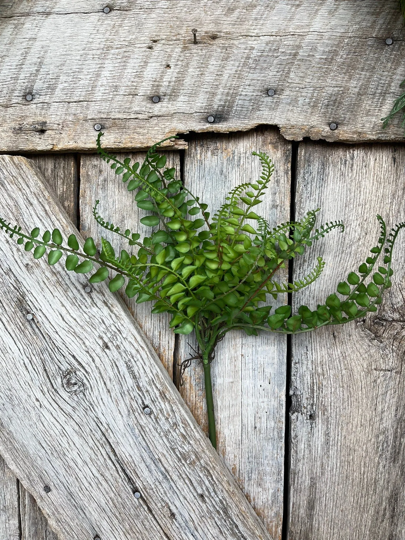 16" Green Fern Spray, Greenery Bush