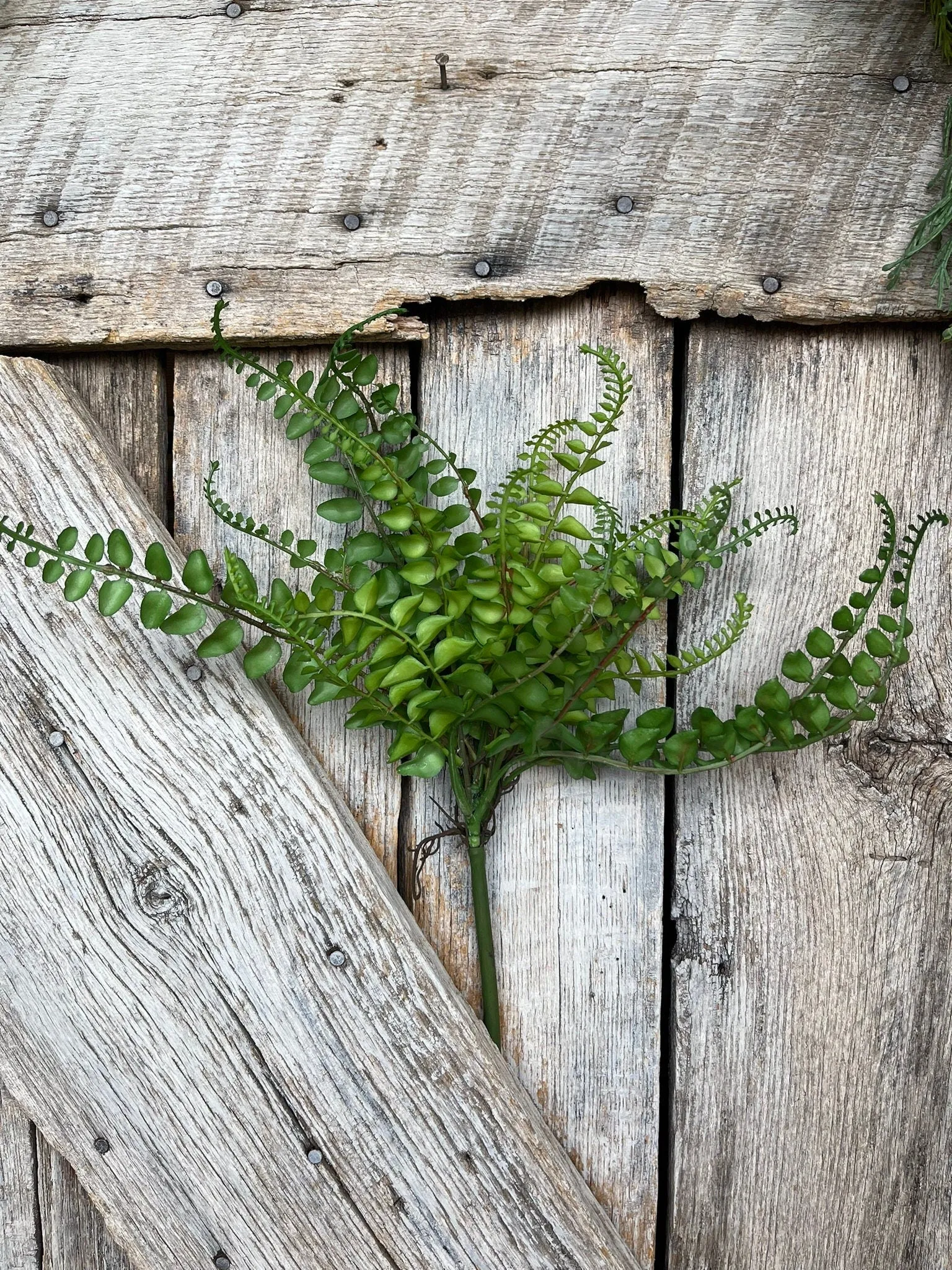 16" Green Fern Spray, Greenery Bush