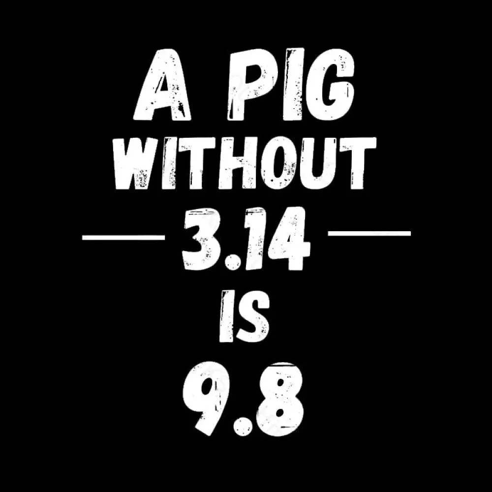 A PIG Without 3.14 is 9.8 G T-Shirt