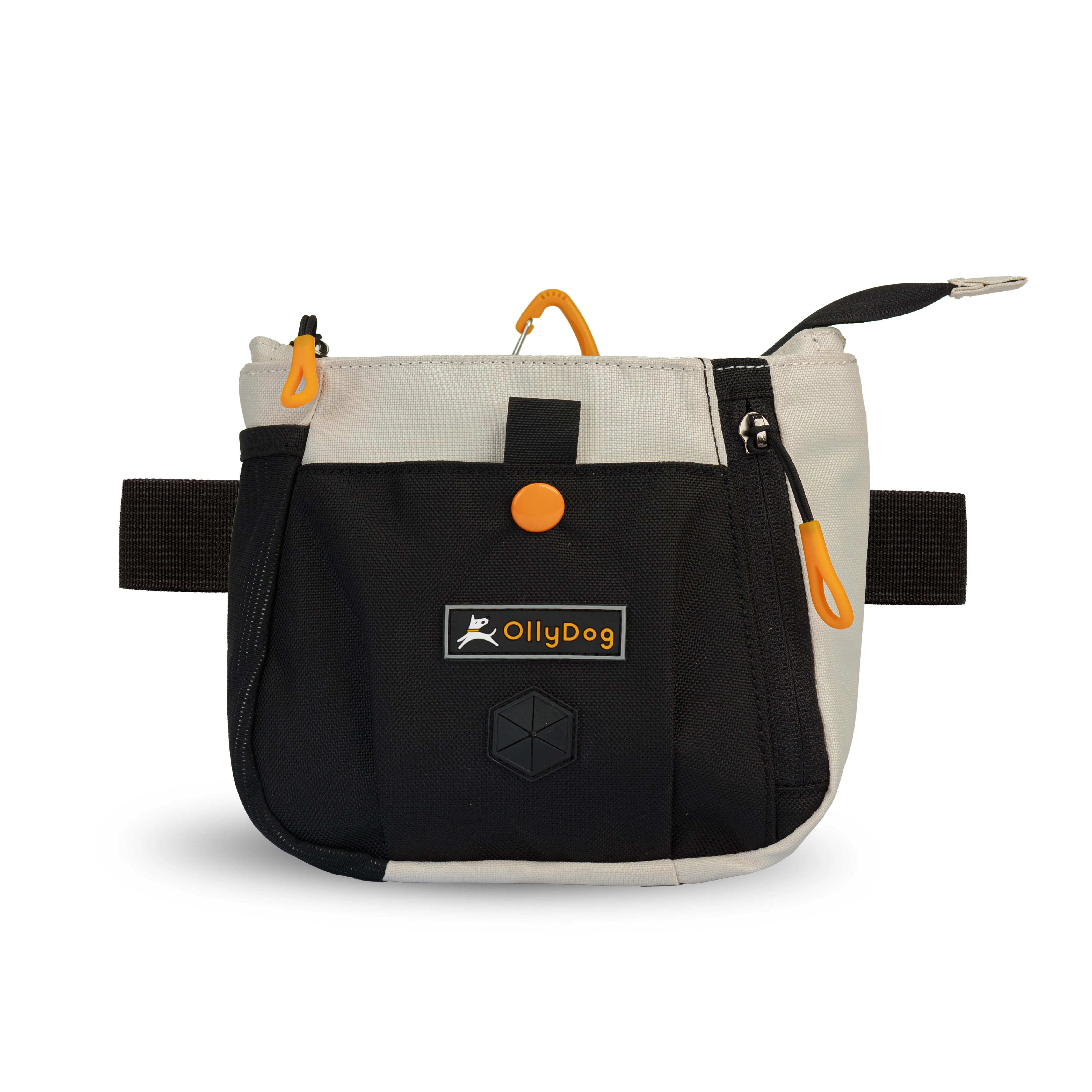 Backcountry Day Bag | Accessory Hip Pack