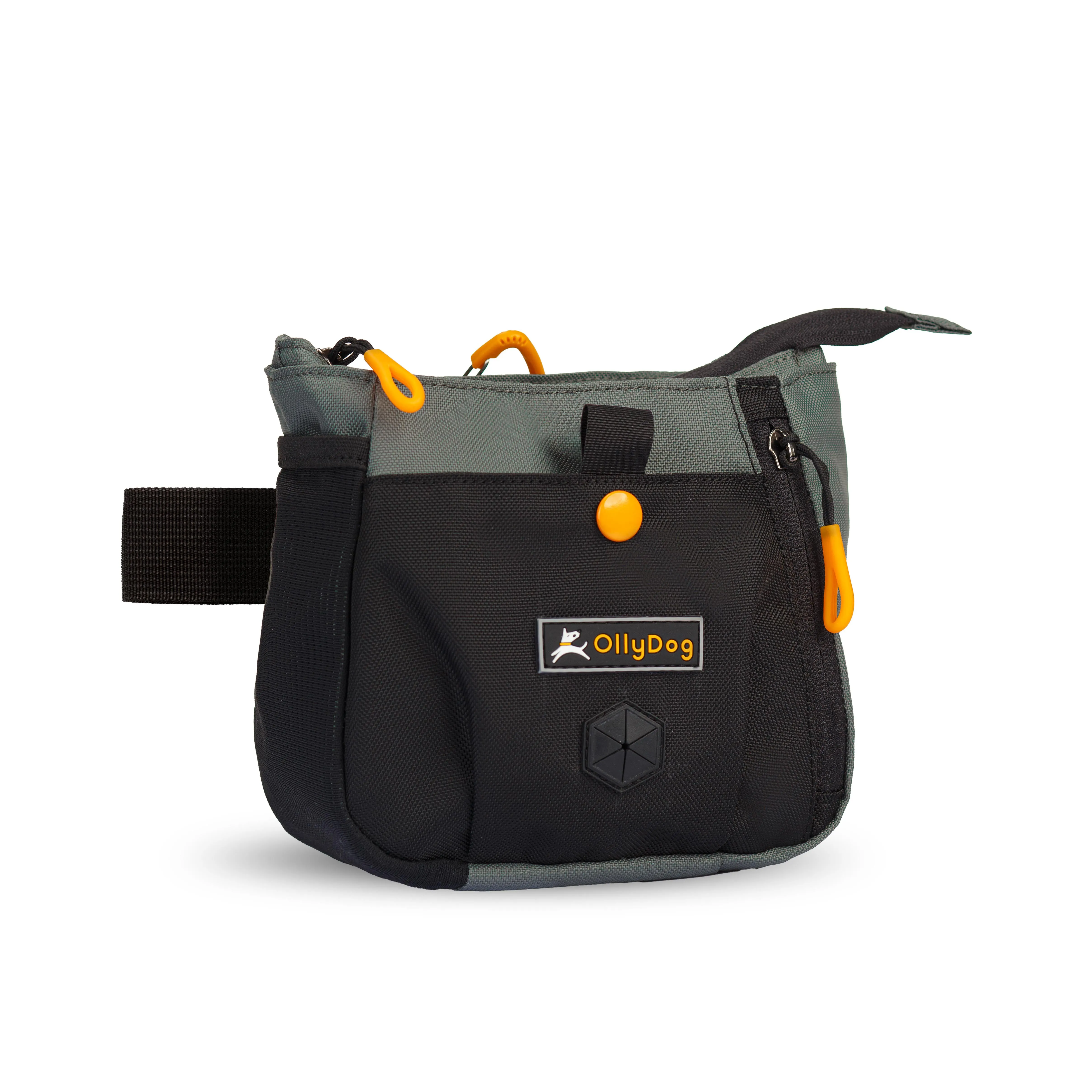 Backcountry Day Bag | Accessory Hip Pack