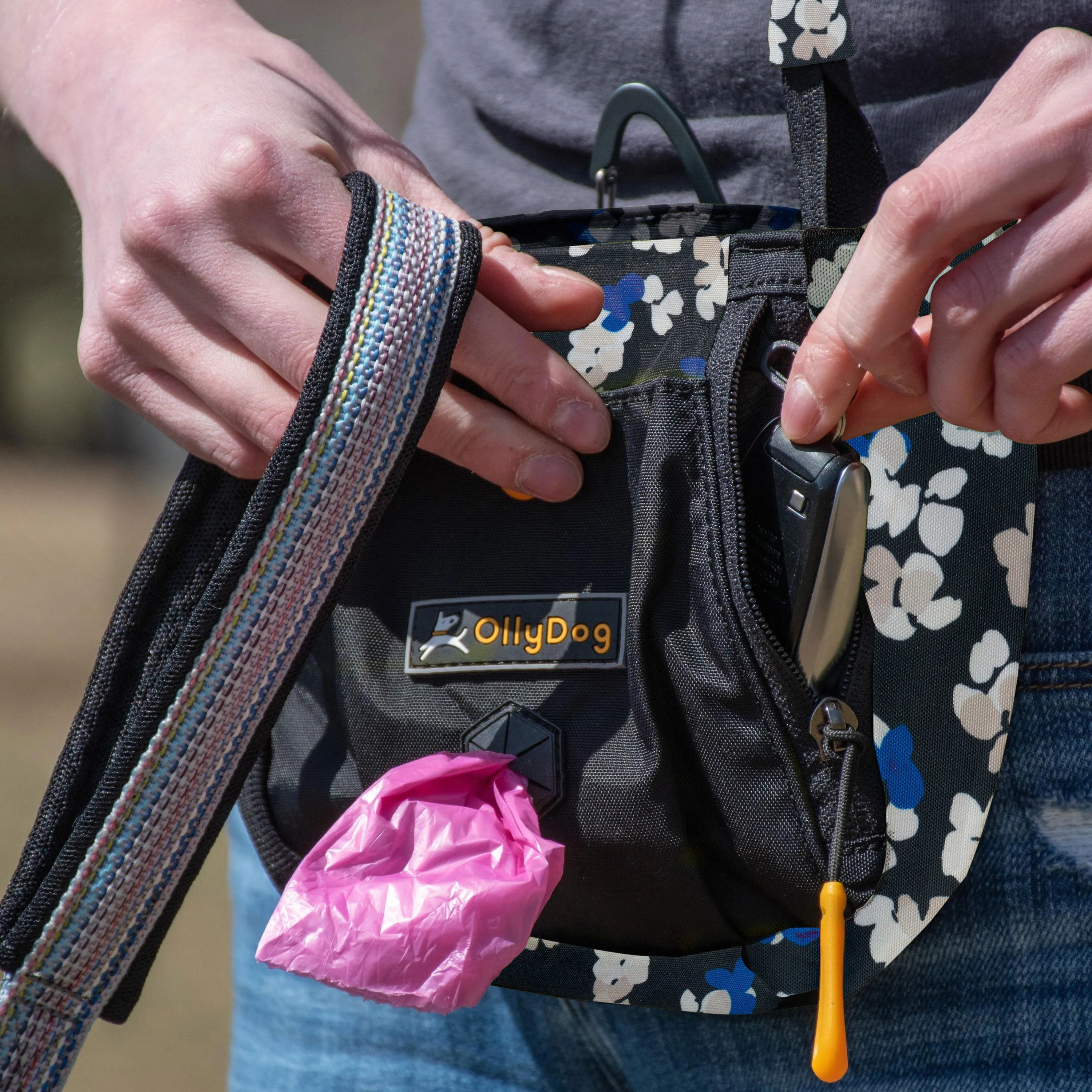 Backcountry Day Bag | Accessory Hip Pack