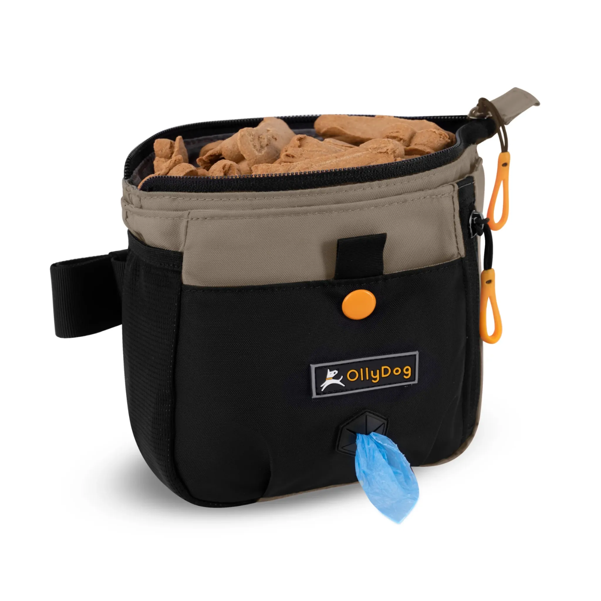 Backcountry Day Bag | Accessory Hip Pack