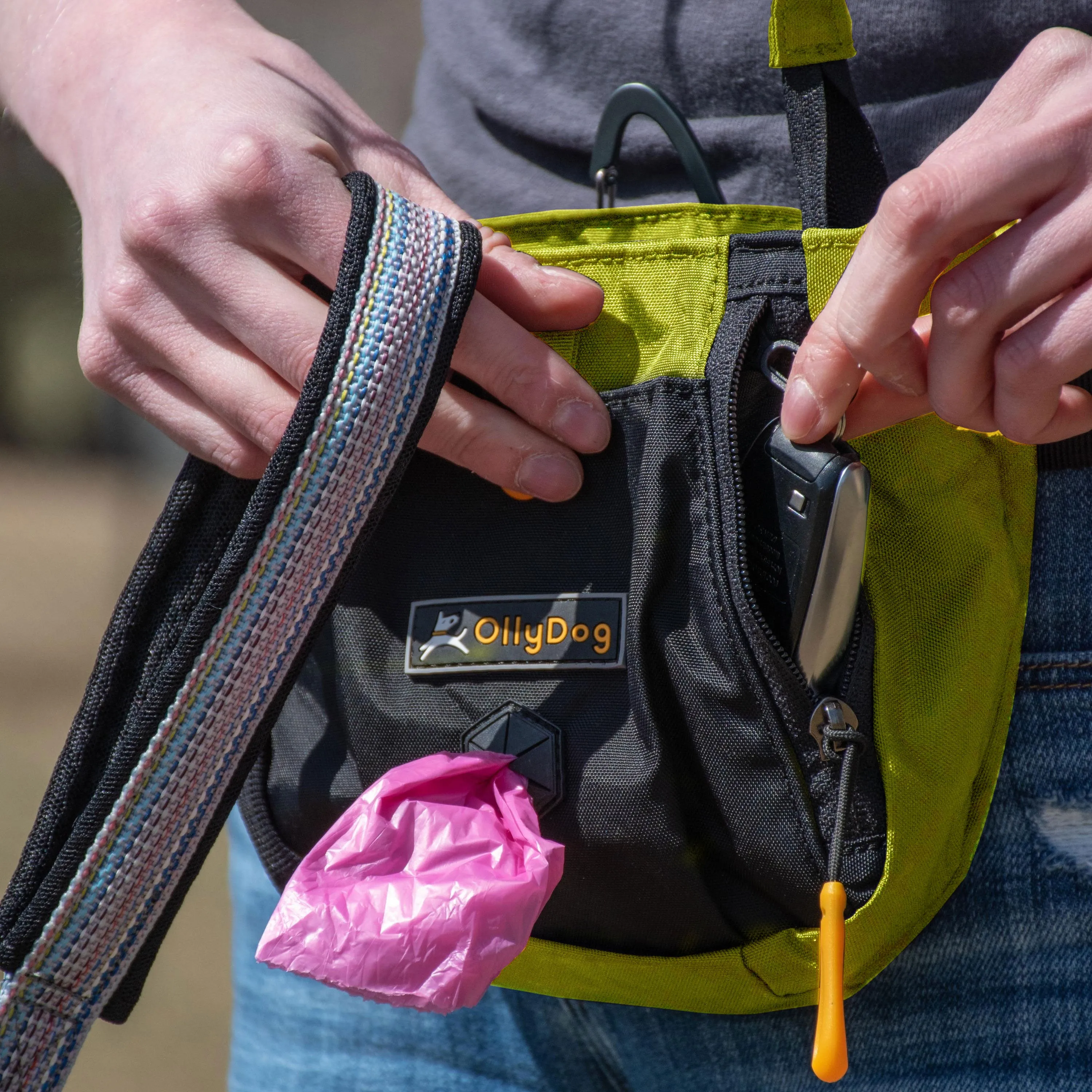 Backcountry Day Bag | Accessory Hip Pack