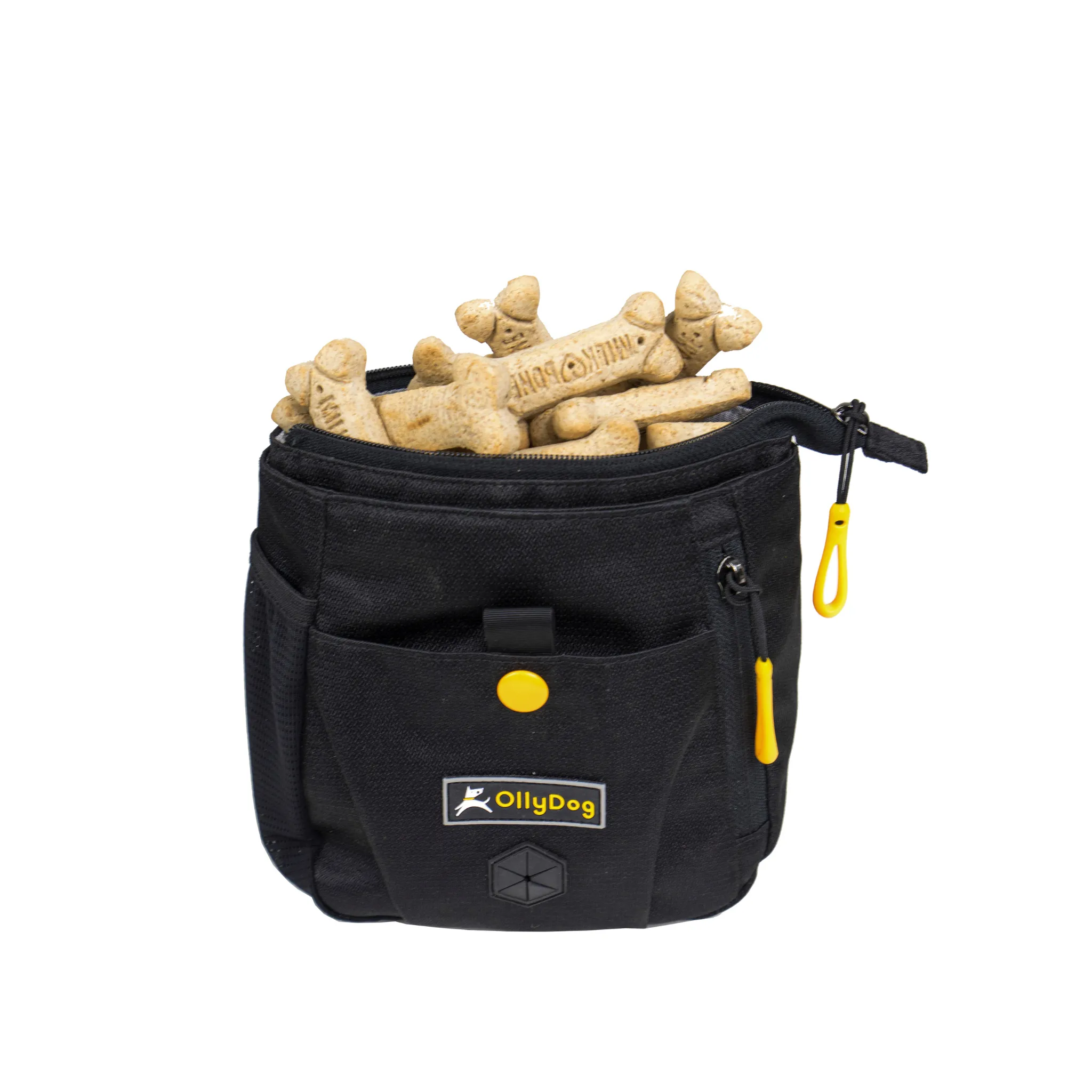 Backcountry Day Bag | Accessory Hip Pack