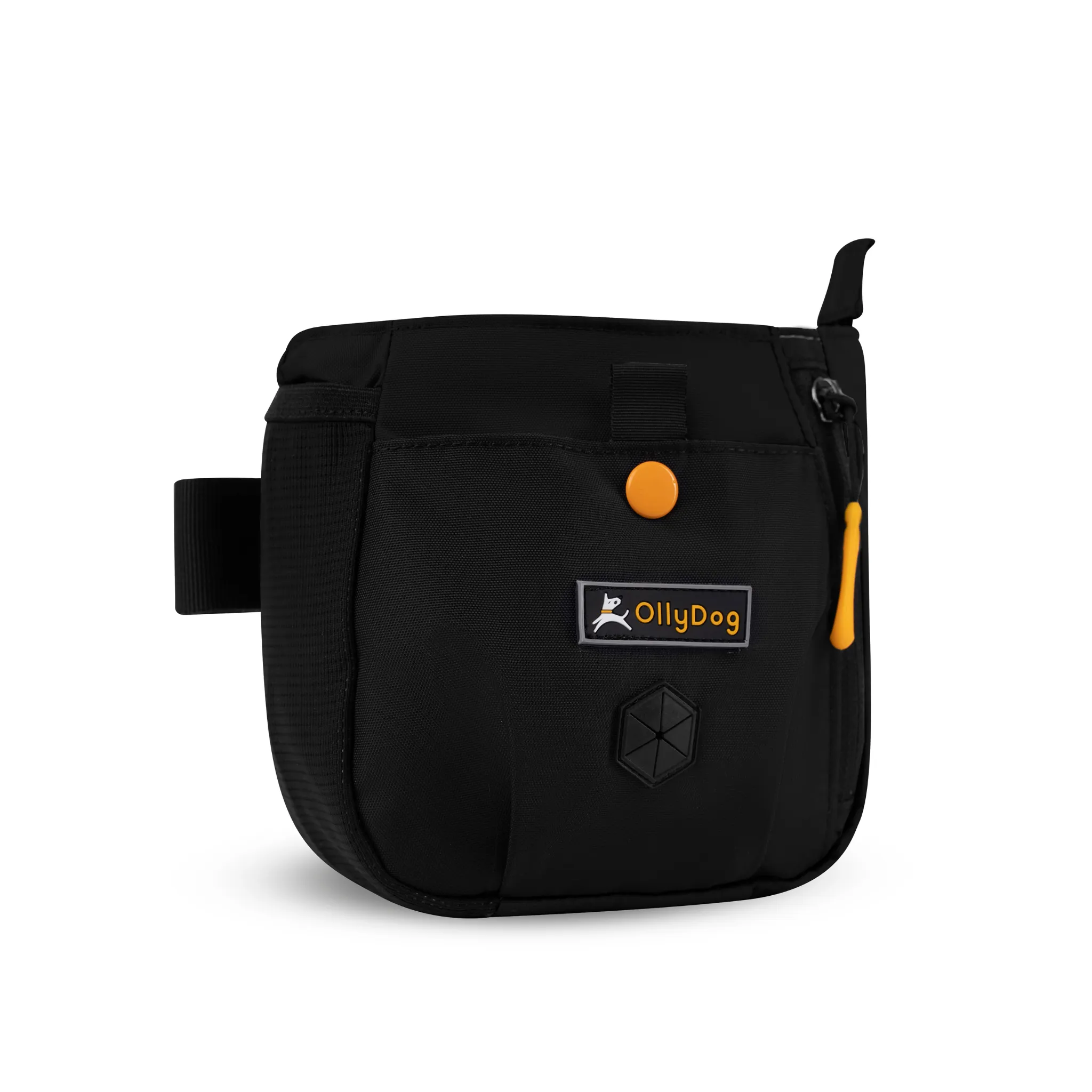 Backcountry Day Bag | Accessory Hip Pack