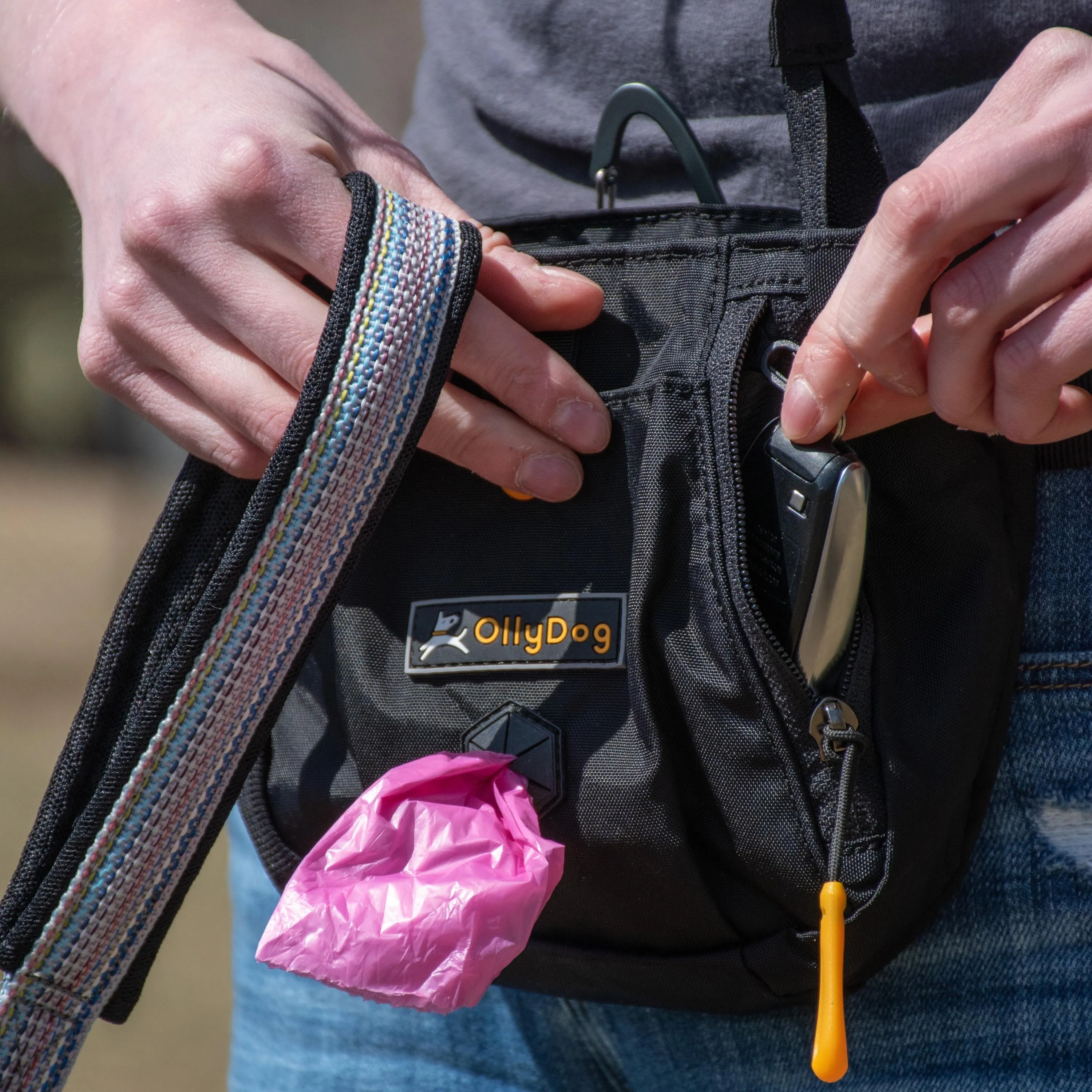 Backcountry Day Bag | Accessory Hip Pack