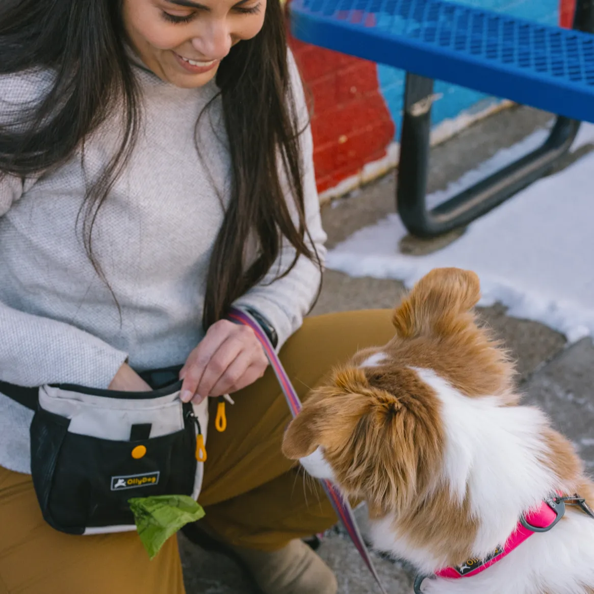 Backcountry Day Bag | Accessory Hip Pack