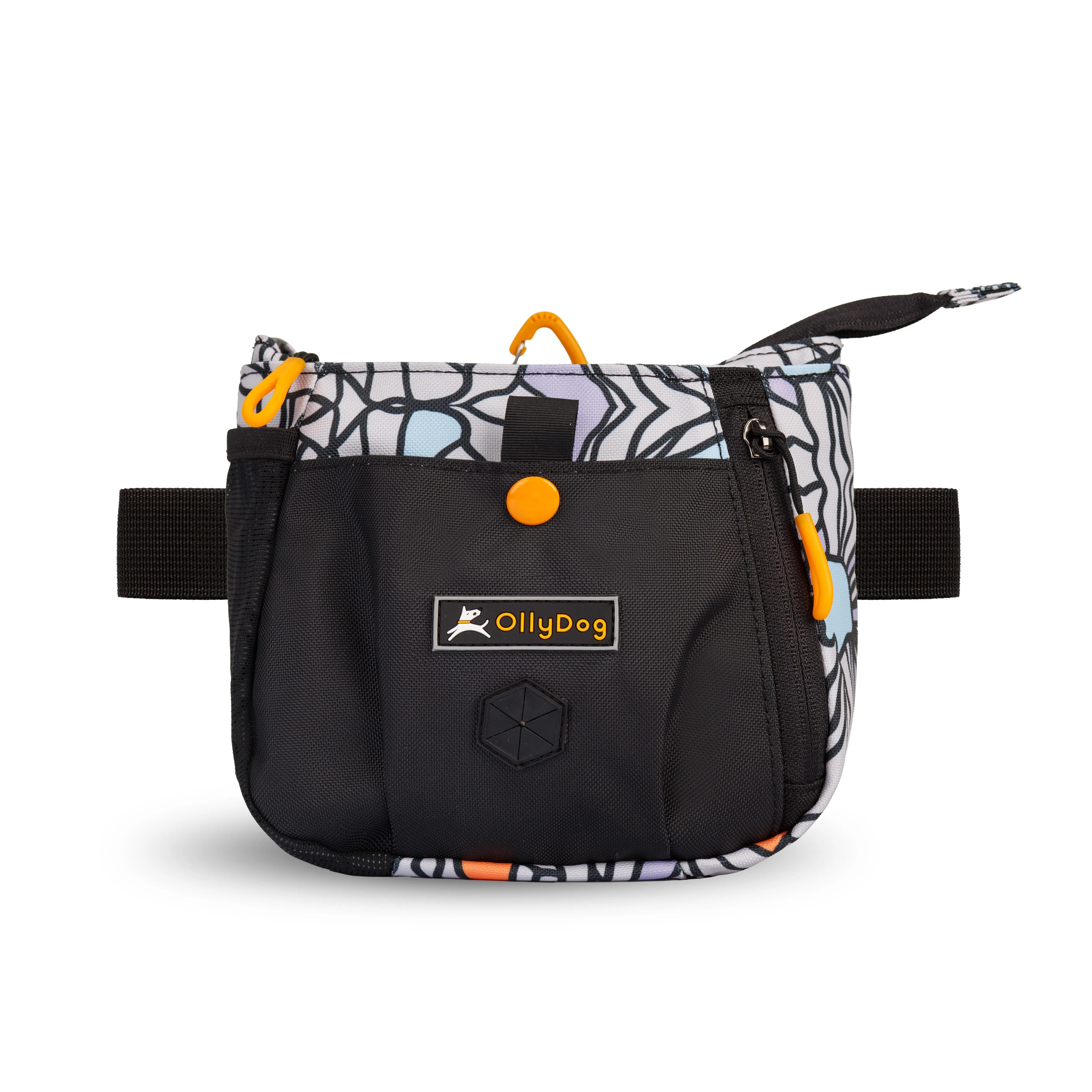 Backcountry Day Bag | Accessory Hip Pack