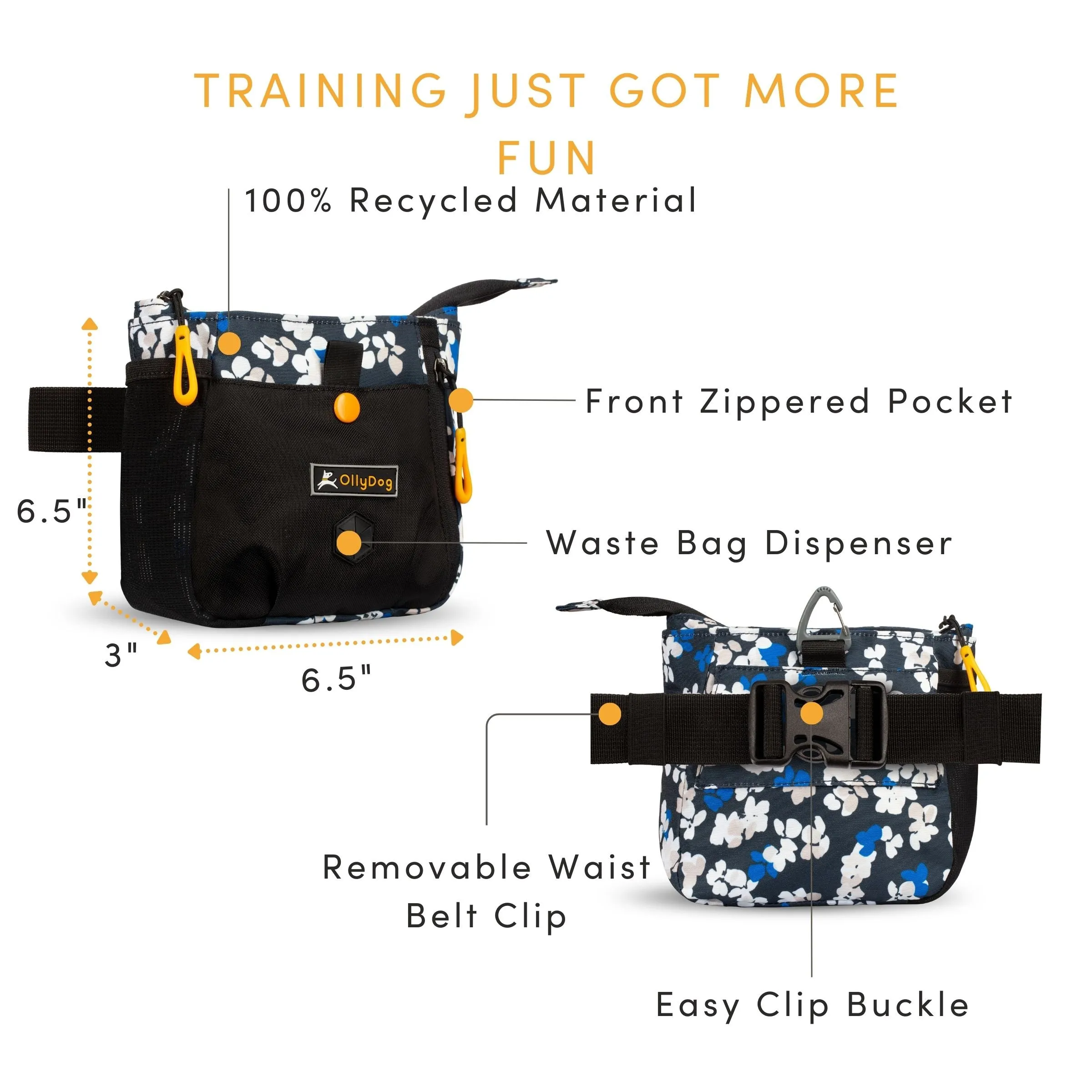 Backcountry Day Bag | Accessory Hip Pack