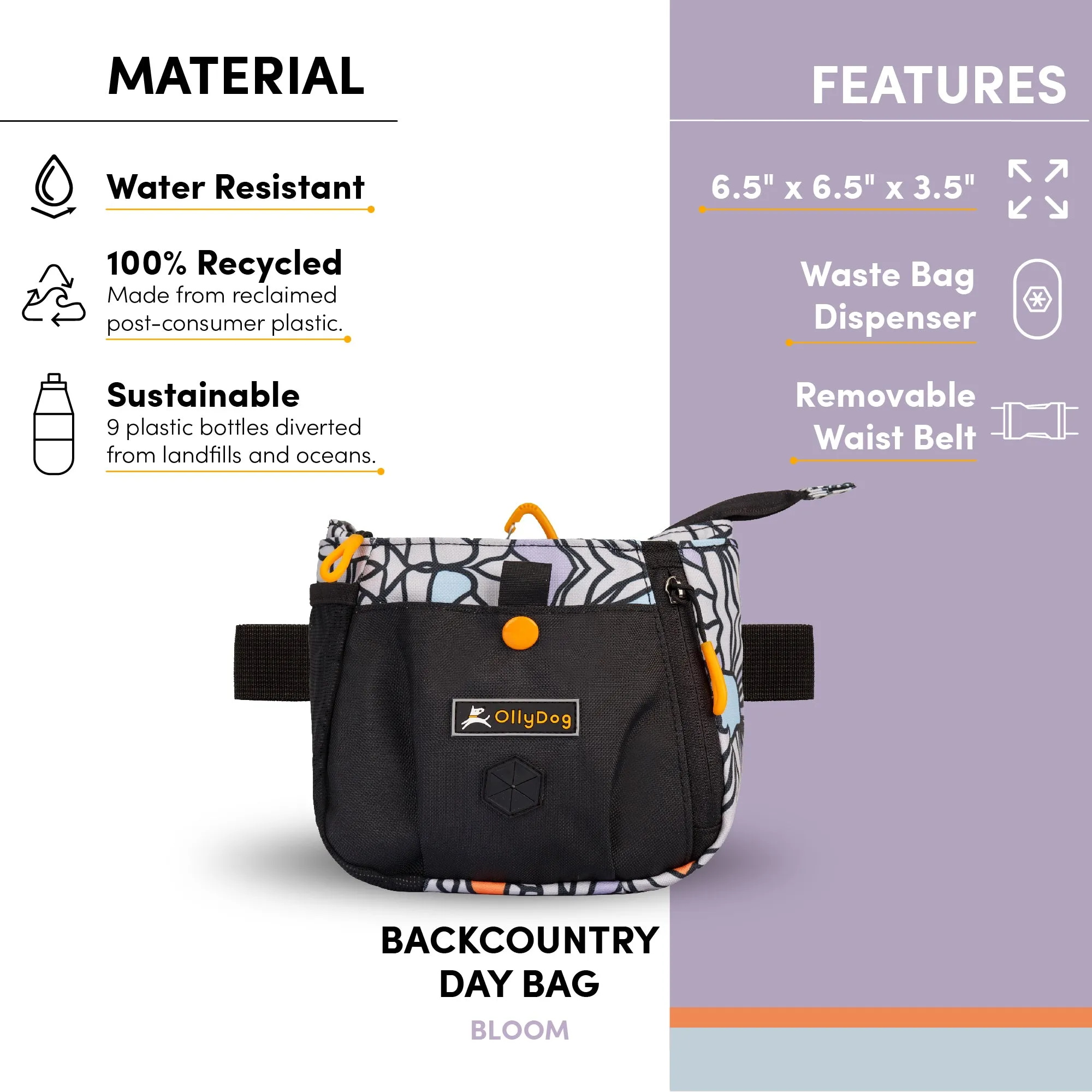 Backcountry Day Bag | Accessory Hip Pack