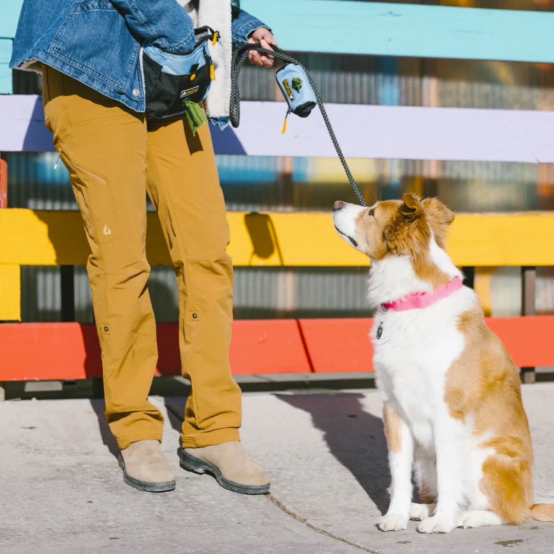 Backcountry Day Bag | Accessory Hip Pack