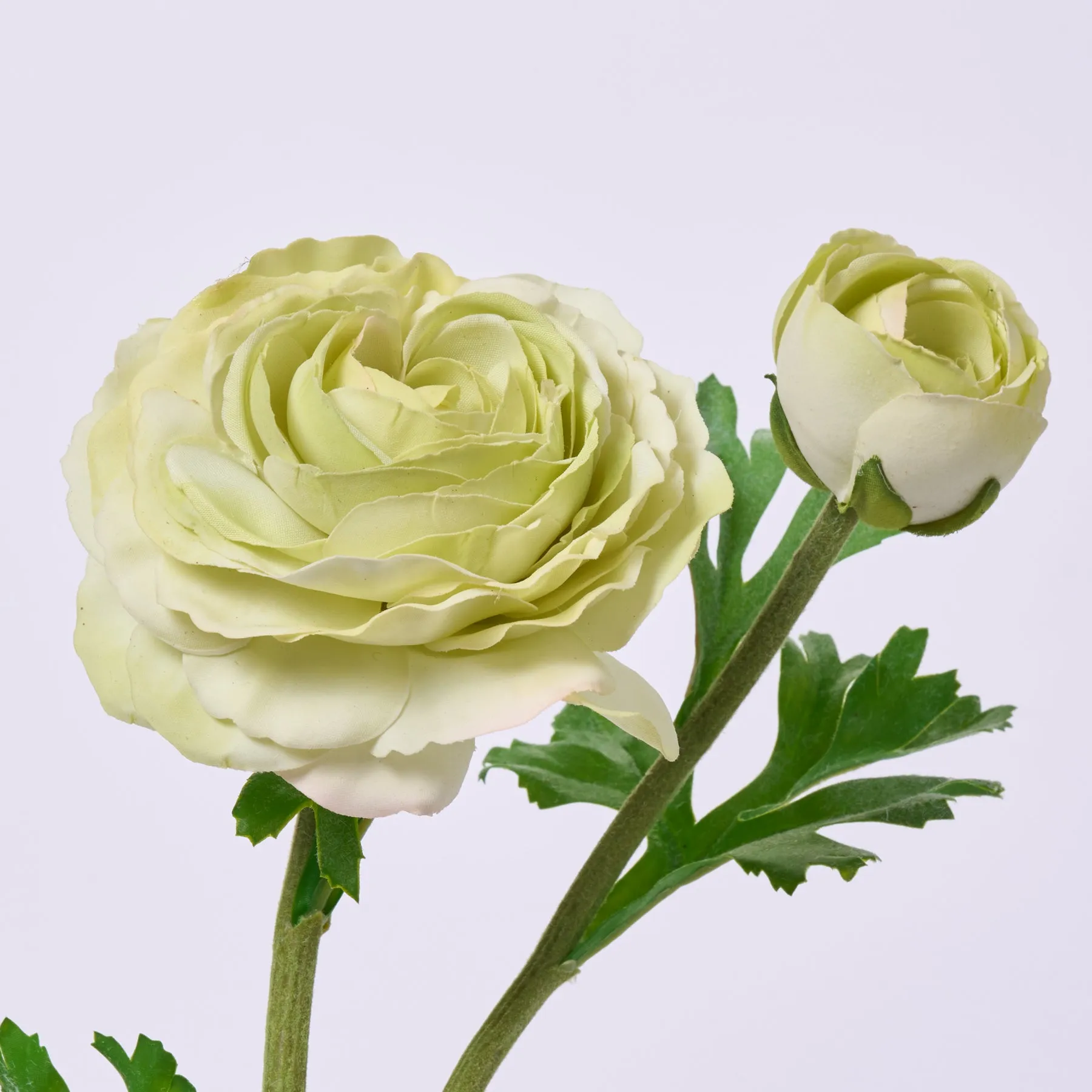 Chartreuse Green Real Touch Ranunculus Bloom & Bud Spray Single Faux Floral Stem Spray  - 23"