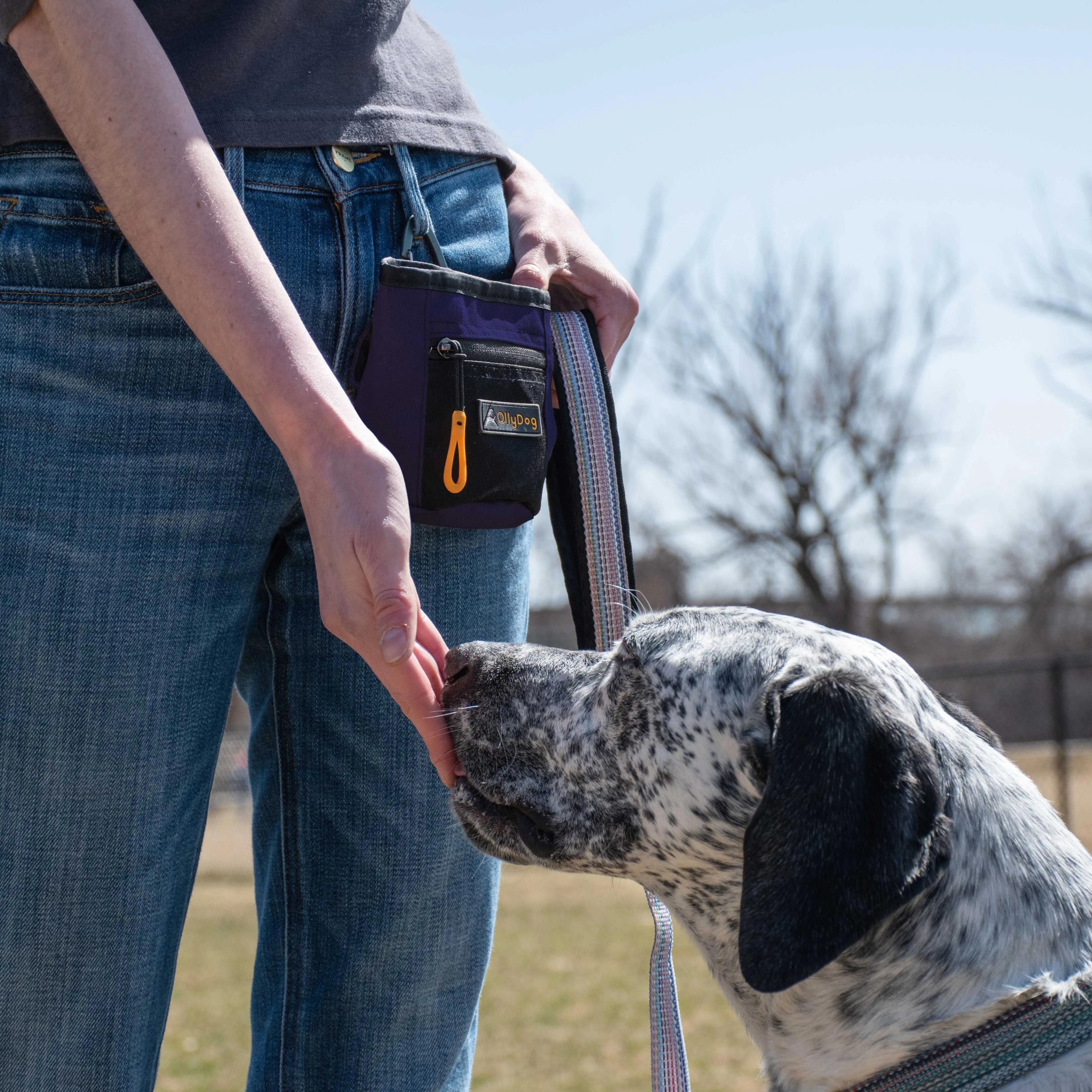 Goodie Treat Bag | Dog Treat Pouch