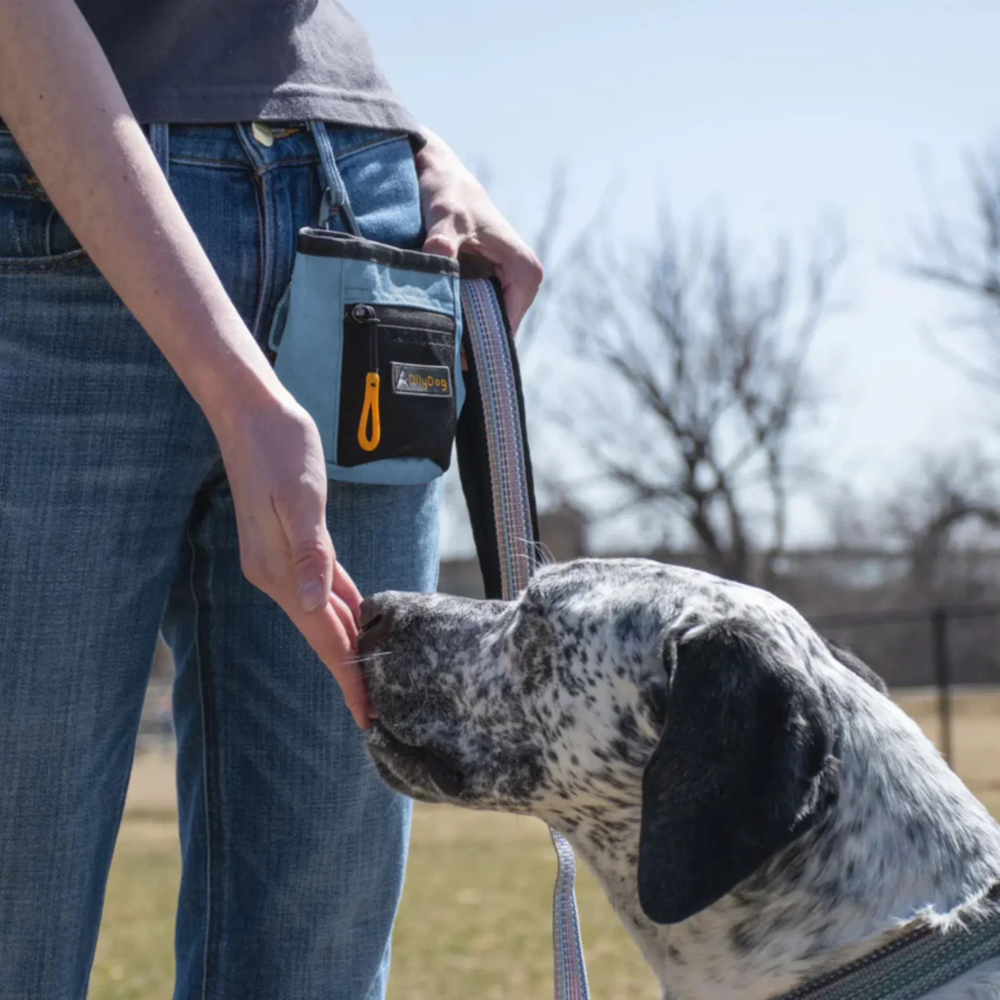 Goodie Treat Bag | Dog Treat Pouch