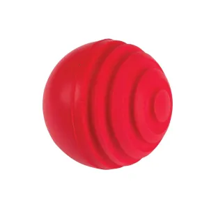 Gray nicolls Wobble Ball