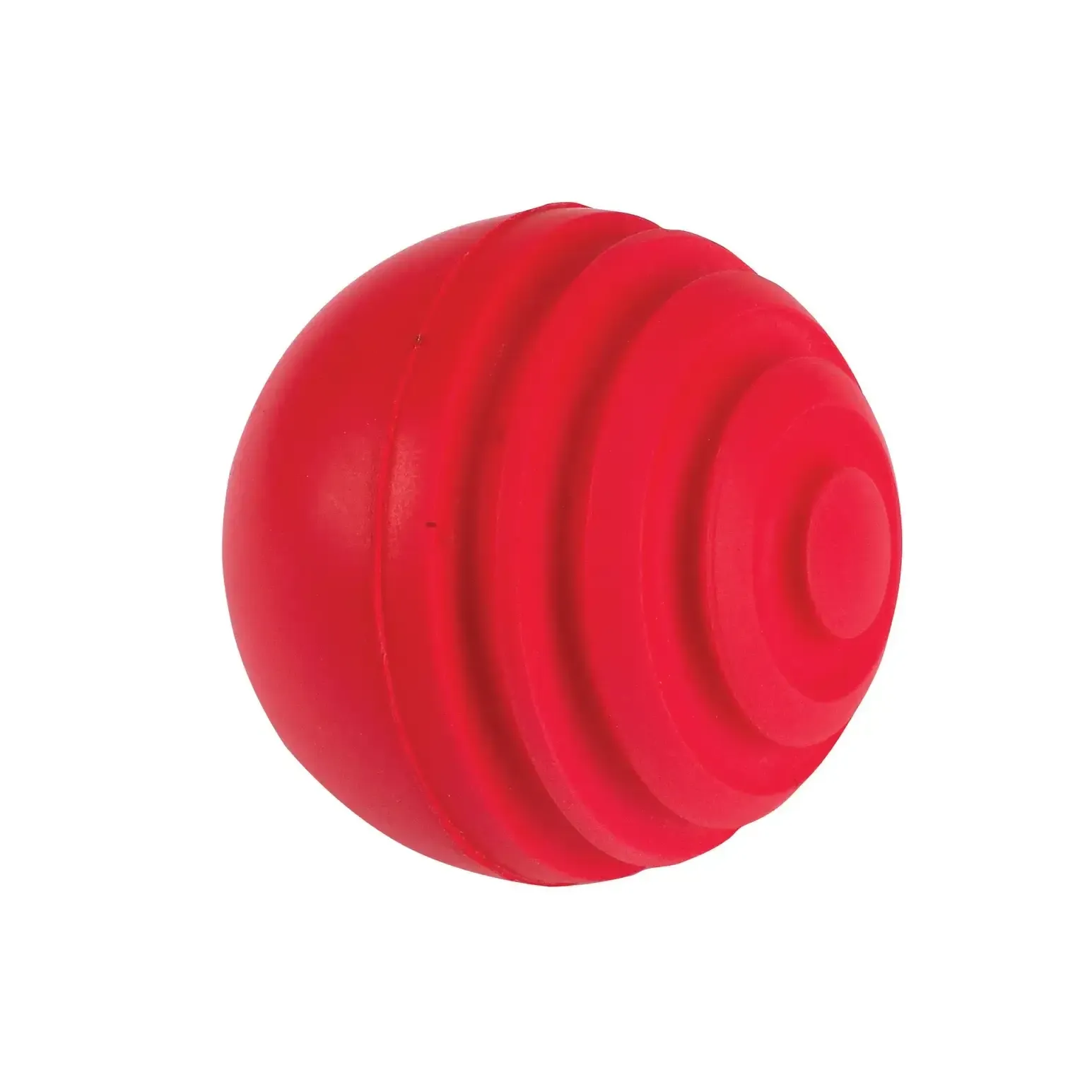 Gray nicolls Wobble Ball